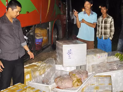 Phát hiện xe khách chở 2 tấn nội tạng động vật bốc mùi