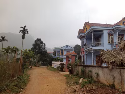 Giàu nhờ quế, nghèo vì quế