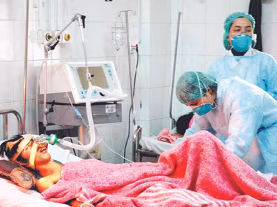 Khó đoán diễn biến dịch cúm
