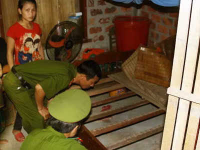 Xông vào nhà cướp gỗ sưa giữa ban ngày