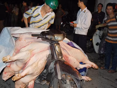 Mười con lợn bán ngoài chợ, sáu con mất vệ sinh