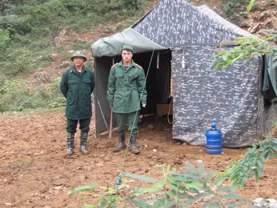 Cần chế tài mạnh chống gia cầm lậu