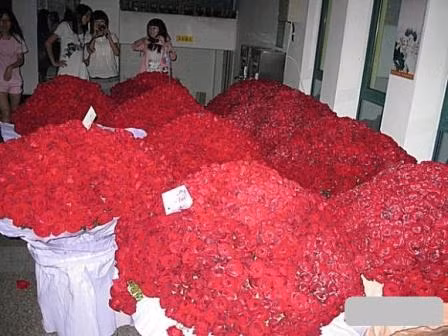 Nữ sinh được tặng 10.000 bông hồng đỏ cho ngày Valentine