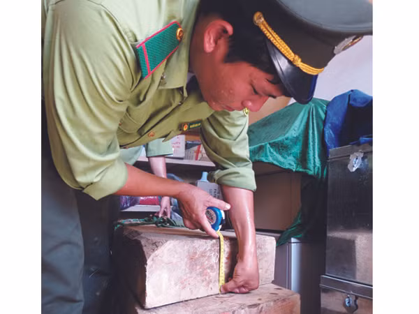Những dấu hiệu bất thường vụ cây huê nghìn tỷ