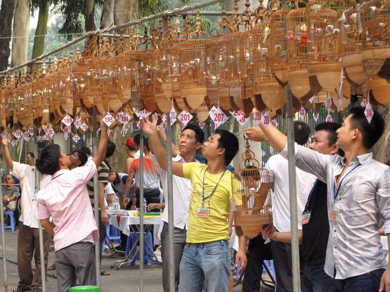 Hội thi thu hút hơn 200 chú chim tham gia tranh tài