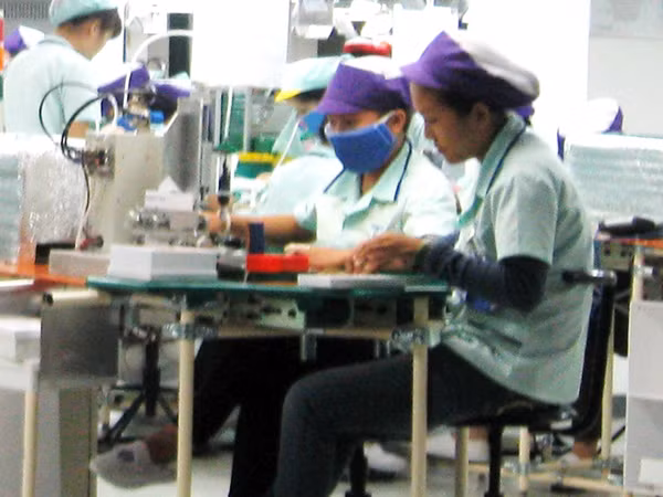 Một công ty có 700 cử nhân làm… công nhân