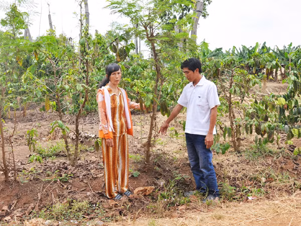 Mẹ con bà Khoa chỉ chỗ ủi đường lấn đất