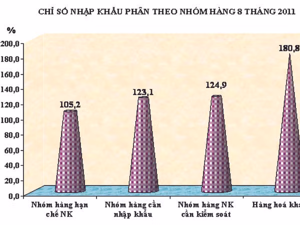 Lo nhập siêu cuối năm tăng mạnh