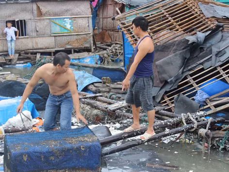 Quảng Ninh: Bão làm 4 người mất tích, thiệt hại 200 tỷ đồng