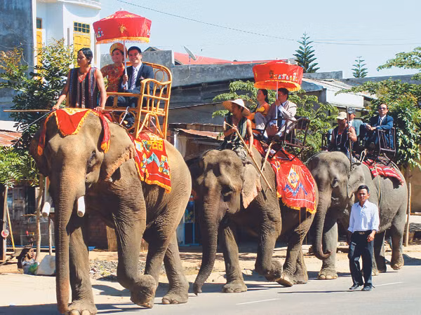 Đại tộc nuôi Voi bên hồ Lắk