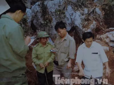 Tận thấy dấu tích ba cây huê trăm tỉ