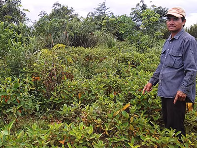 Họa trâu thả rông