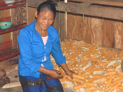 Tộc người 'mang thiên mệnh chiến binh'
