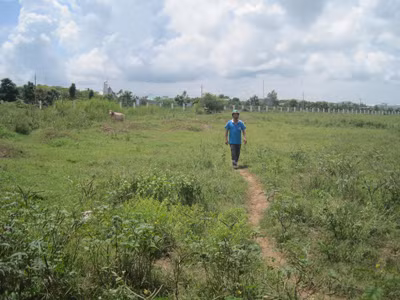 Khu công nghiệp bỏ hoang 10 năm