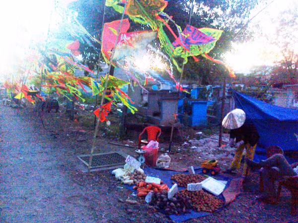Bán hàng rong ở Bình Hưng Hòa