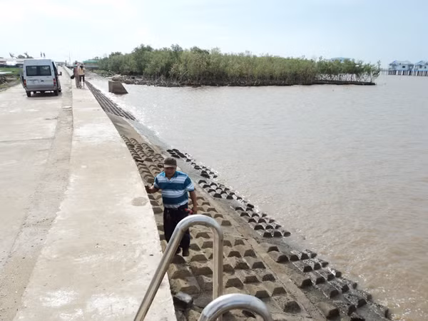 Rừng tàn, biển tiến