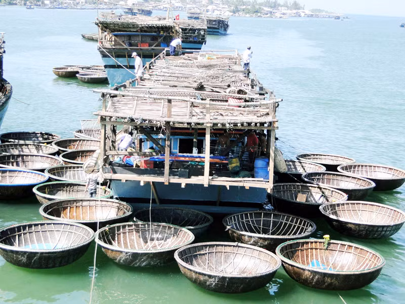 Tàu câu mực như cánh hoa trên sóng Ảnh: Hải Anh