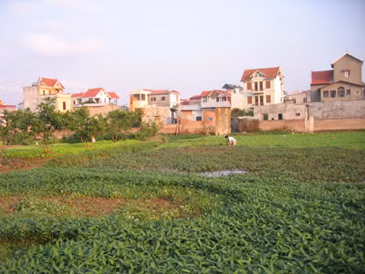 Dùng “trưng mua” thay cho “thu hồi” đất