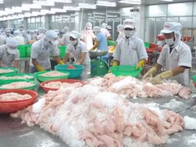 "Mỹ áp mức thuế với cá tra Việt Nam không hợp lý"