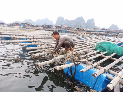 Bão số 2 ảnh hưởng trực tiếp Quảng Ninh - Nam Định