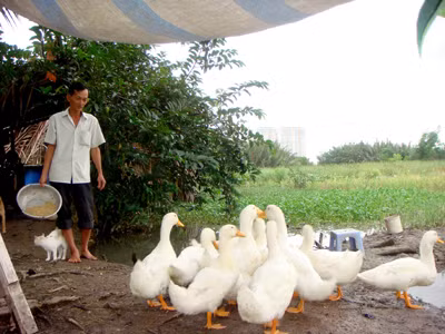 “Địa chủ” không tiền giữa Sài Gòn hoa lệ