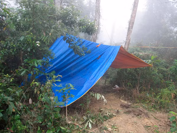 Một lán trại lâm tặc dựng sát đường độc đạo vào khu rừng bị phá
