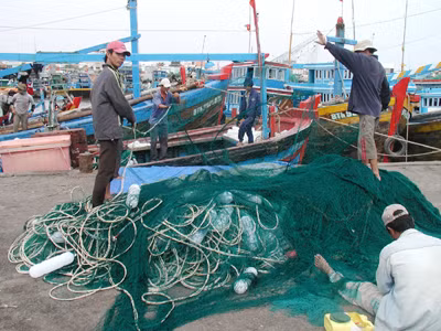 Nhiều tổ liên kết sản xuất, giúp ngư dân Bình Thuận bám biển đến cùng (Phong Châu)