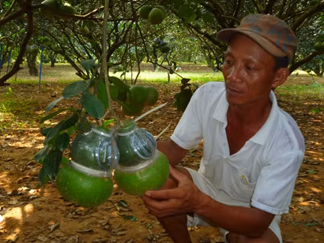 Quà Tết thời khốn khó