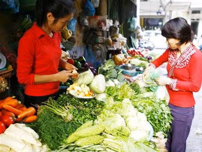Đồng Tháp: Mùa lũ, giá rau màu tăng cao