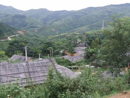 Gái bản lừa tình đàn ông bán qua biên giới