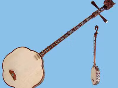 Cây đàn sến
