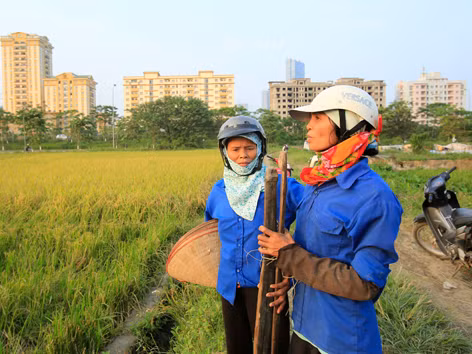 Hà Nội thành lập 2 quận mới: Giá đất có tăng?