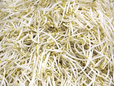 Giá đỗ được ủ từ hóa chất Trung Quốc