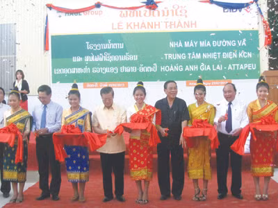 Khánh thành cụm công nghiệp mía đường Hoàng Anh Attapeu