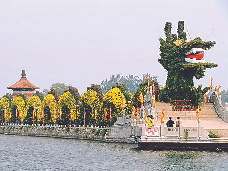Những kỷ lục về Rồng