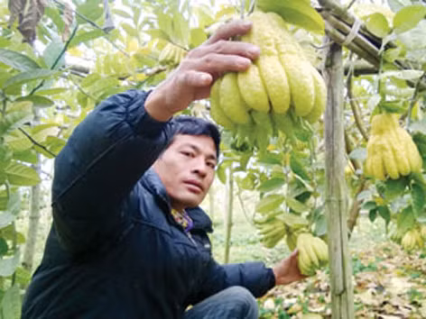Làng tỷ phú nhờ “bàn tay Phật”
