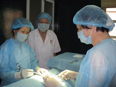Ly kỳ chuyện 'sản xuất' tinh trùng ở Việt Nam