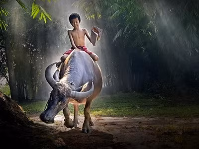 Quê hương đẹp đến lạ thường