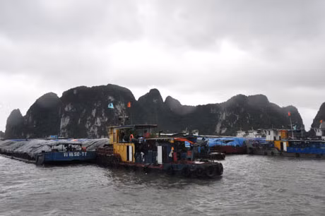 Quảng Ninh: Không có thiệt hại về người trong bão số 14