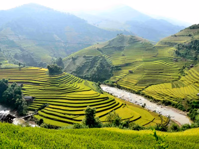 Thang vàng ai bỏ giữa trời...