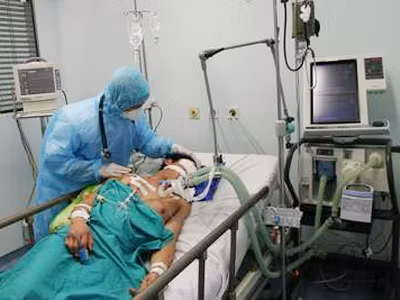 Nguy cơ xuất hiện cúm gia cầm H5N1 trên người