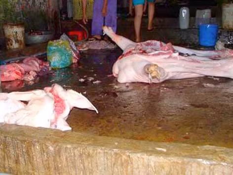 Vi phạm an toàn thực phẩm gia tăng