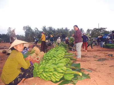 Đến trâu bò cũng ngán chuối!