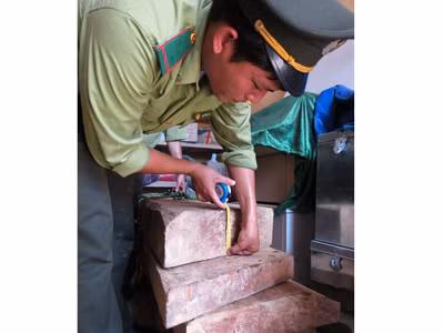 Đề nghị cách chức giám đốc VQG Phong Nha - Kẻ Bàng
