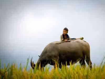 Việt Nam đẹp ngỡ ngàng trên National Geographic