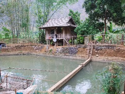 Bản nuôi cá tiến vua