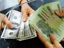 Thị trường ngoại tệ cuối năm sẽ không quá “nóng”
