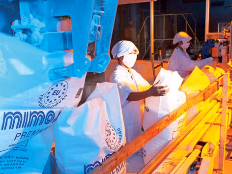 Sản xuất đường bị dồn vào 'cửa tử'