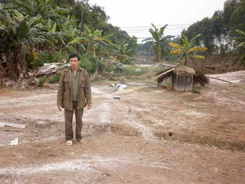 Ông Nguyễn Trọng Túc đứng bần thần bên lán vịt đã tháo dỡ sau khi tiêu hủy Ảnh: Phạm Anh