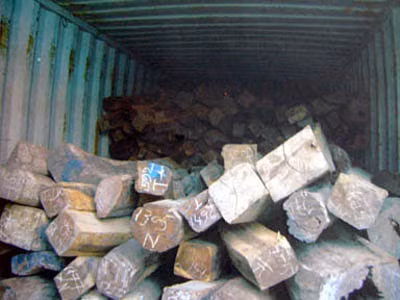 Cần hình phạt nghiêm để bảo vệ gỗ quý